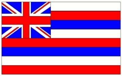 Fahne Hawaii