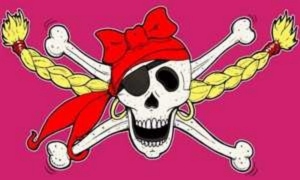 Fahne Piratenprinzessin