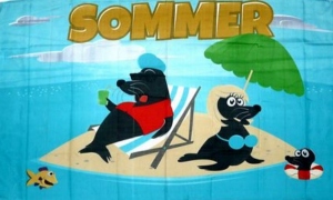 Flag Summer seals