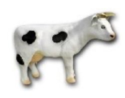 Cow K705