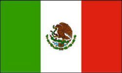Fahne Mexico