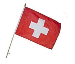 Flag at wood staff Switzerland