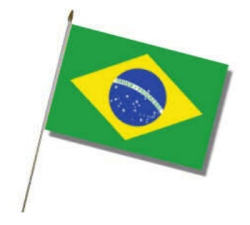 Flag at wood staff Brazil