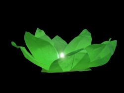 Woda latarnia lotosu zielony