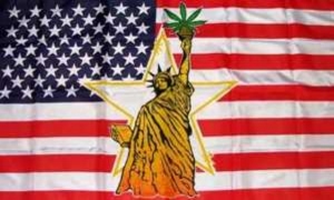 Fahne USA Marihuana Liberty