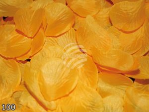 Rosenbltter 100 orange