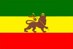 Flag Ethiopia with Lion