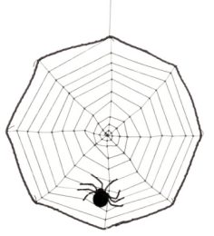 Decorative spiders web with spider