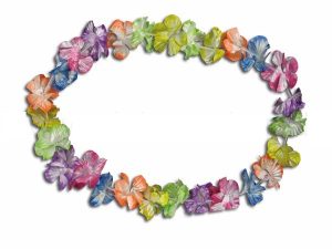 Hawaii chains flower necklace shining rainbow