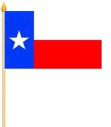 Fahne an Holzstab Texas