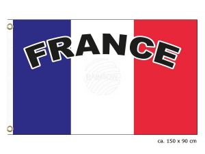 Fahne Frankreich France