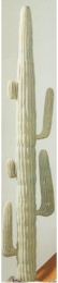 Cactus Mex 210