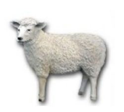 Schaf stehend K484