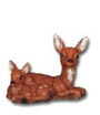 Deer lying with Kitz K558
